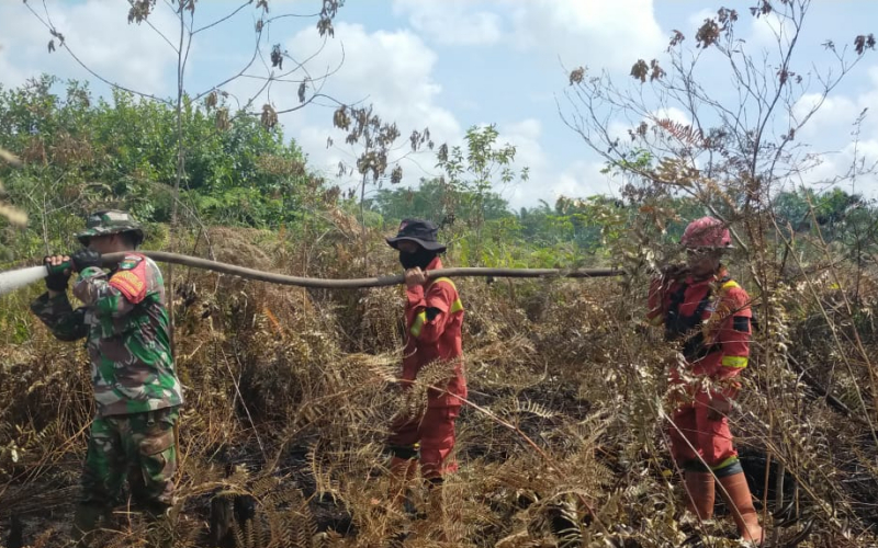 TNI–Polri dan Manggala Agni Bersinergi Tangani Karhutla di Dumai