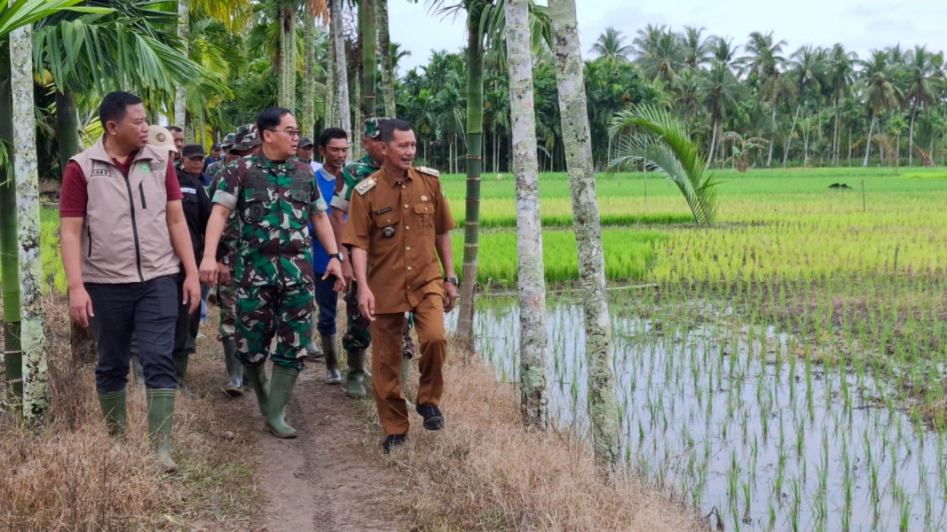 Satgas Swasembada Riau Tinjau Optimalisasi Lahan di Inhil