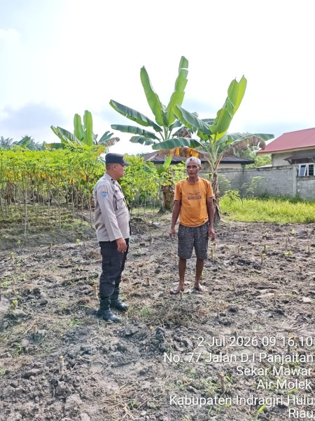 Bhabinkamtibmas Polsek Pasir Penyu Ajak Warga Optimalkan Pekarangan dengan Budidaya Singkong demi Ketahanan Pangan