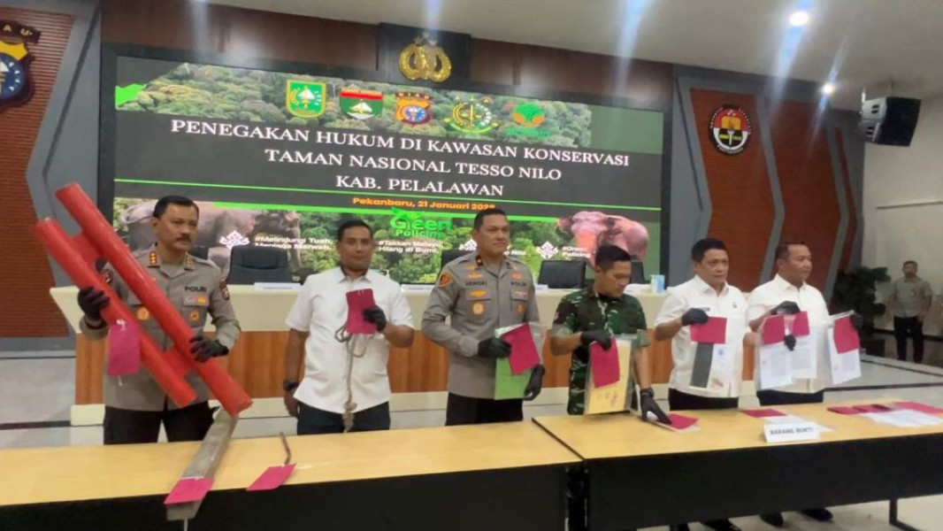 Satgas PKH dan Polda Riau Tangkap 6 Pelaku Perusak Tesso Nilo dan 3 Penjual Lahan