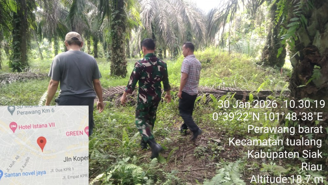 Babinsa Koptu Togi Sitorus Pimpin Patroli Karhutla di Perawang Barat, Pastikan Nihil Titik Api