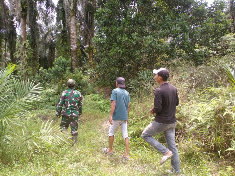 Babinsa Serma Edy S Laksanakan Patroli Karhutla di Tasik Seminai, Siak