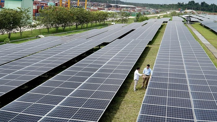 Proyek Karbon APRIL di Riau Disorot, Diduga Manipulasi Data dan Langgar Aturan Gambut