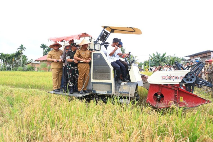 1.665 Petani Milenial Riau Terlibat Brigade Pangan, Perkuat Swasembada Pangan Nasional