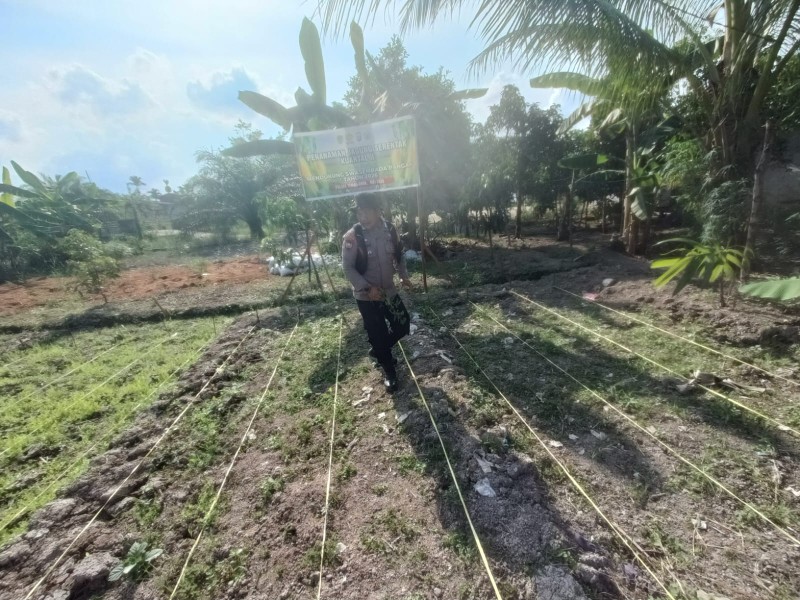Bhabinkamtibmas Pekan Arba Cek Tanaman Jagung Warga, Dukung Ketahanan Pangan Nasional
