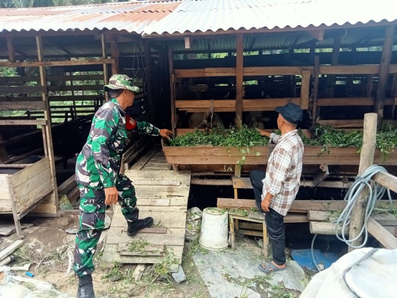 Babinsa Koramil 03/Minas Serda Mayus Maruli Lakukan Pendataan dan Pemantauan PMK di Kampung Minas Timur