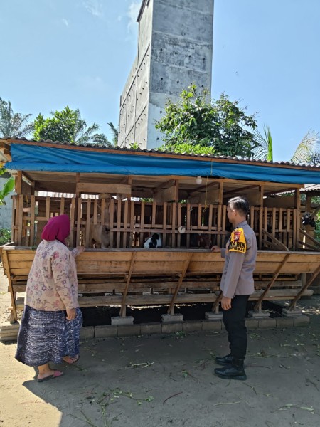 Gunakan Manajemen Peternakan Modern, Pesan Bhabinkamtibmas Polres Inhu Untuk Ketahanan Pangan