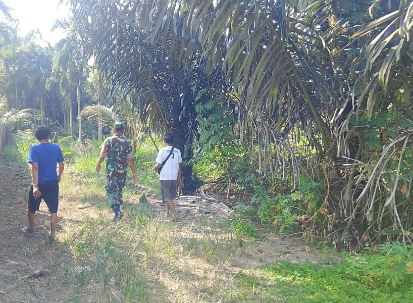 Babinsa Serka A. Pardosi Patroli Karhutla di Perawang, Pastikan Kondisi Aman Tanpa Asap