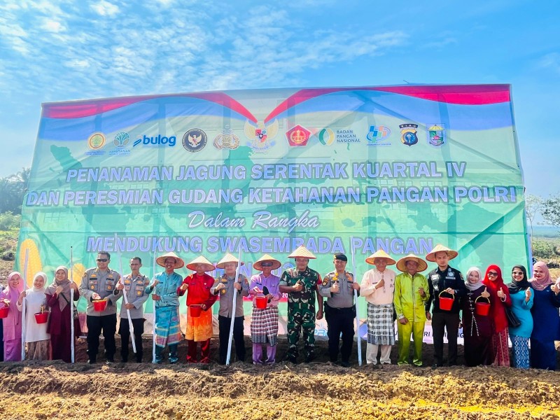 Tanam Raya Jagung Pipil Serentak Kuartal IV Digelar di Pelalawan: Dukung Swasembada Pangan Nasional 2025