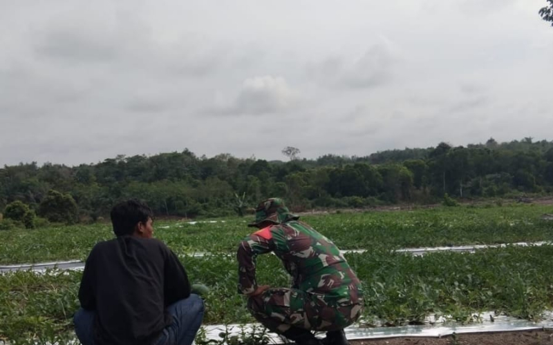 Babinsa STDI Giat Patroli Kebakaran Hutan dan Lahan