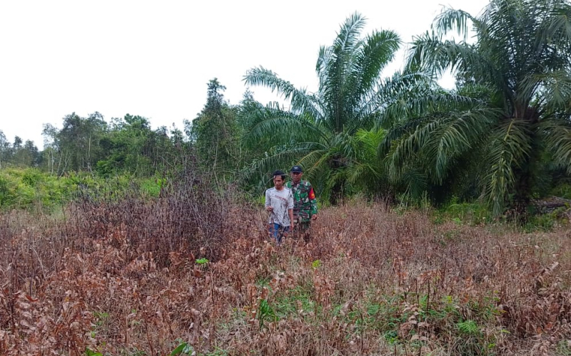 Sertu Ramli dari Pos Ramil 02 Patroli Karhutla di Jalan Permata Mundam