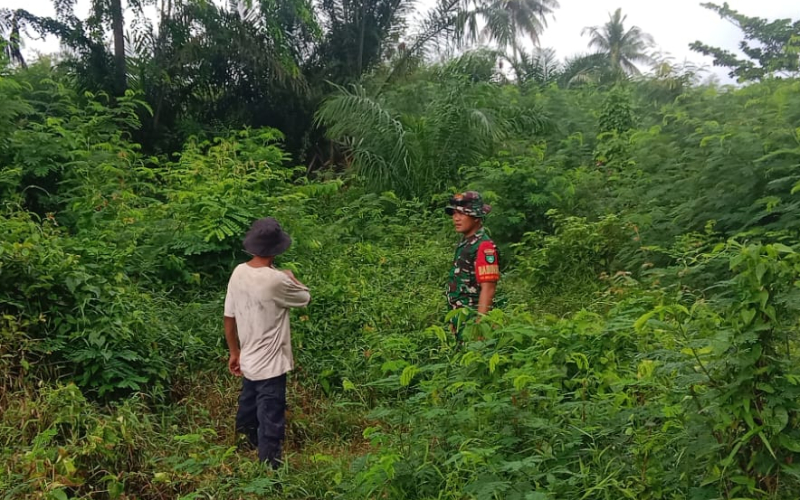 Cegah Karhutla, Babinsa Buluh Kasap Patroli Lahan Gambut dan Dampingi Warga Tanam Kangkung