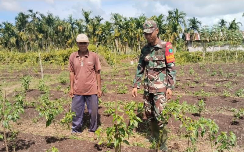 Babinsa Serda Erwan Laksanakan Karya Nyata Pertanian di Sungai Sembilan