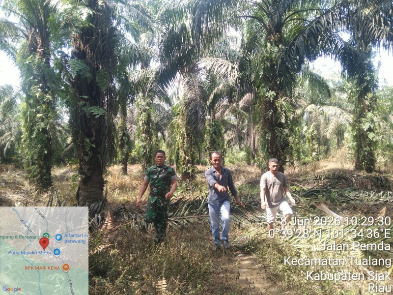 Kopka Togi Sitorus Laksanakan Patroli Karhutla di Perawang Barat, Tidak Ditemukan Titik Api.