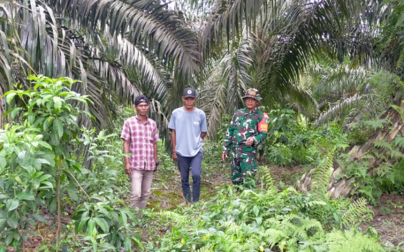 Serda Iwan Sahputra Ajak Warga Kelola Lahan Gambut Secara Produktif Tanpa Bakar