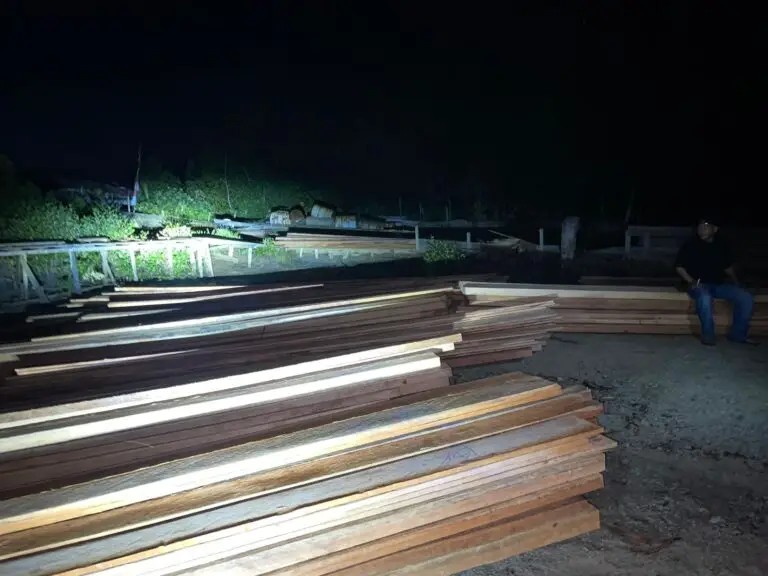 Perambahan Hutan di Meranti Makin Brutal: Cukong Diduga Kebal Hukum, Ada Permainan Dengan Oknum?