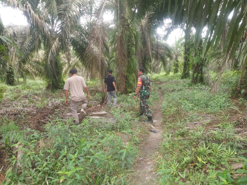Babinsa Serda Deddy H Pimpin Patroli Karhutla di Tualang, Pastikan Wilayah Aman dari Titik Api