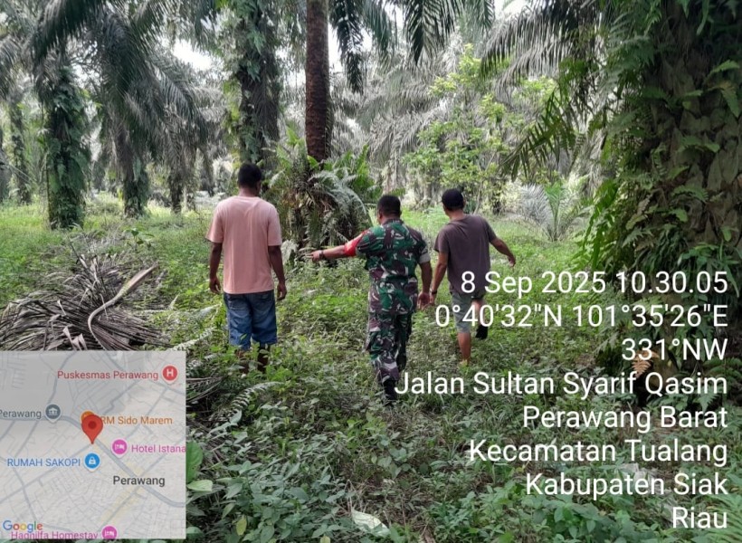 Babinsa Sertu Venus Luberto Koramil 04/Perawang Gelar Patroli Karhutla di Kelurahan Perawang