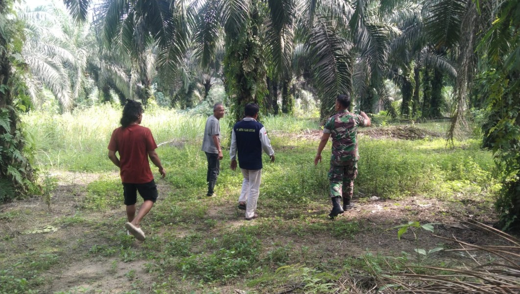 Babinsa Koramil 04/Perawang Laksanakan Patroli Karhutla, Tak Ditemukan Titik Api di Perawang Barat