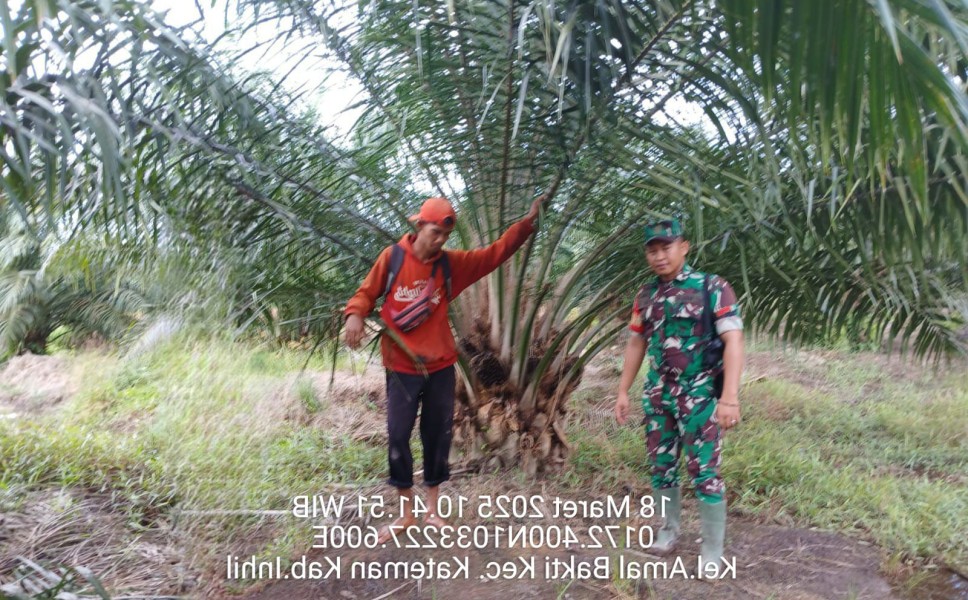 Babinsa Koramil 06/Kateman Laksanakan Patroli Karhutla di Amal Bakti
