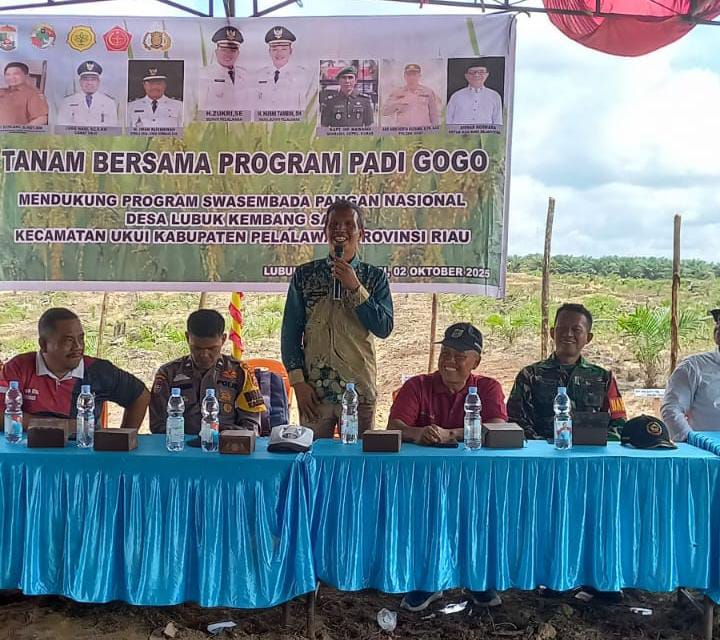 Dukung Swasembada Pangan, Pemkab Pelalawan Kembangkan Padi Gogo di 5 Kecamatan