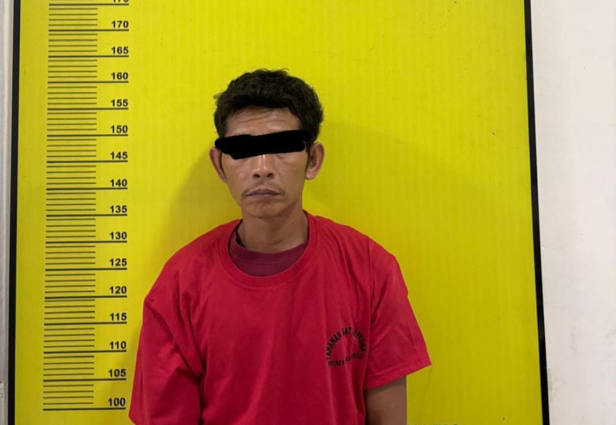 Polres Rohul Ciduk Bandar & Pengedar Narkotika Dari Sumut, Amakan 32,04 Gram Sabu