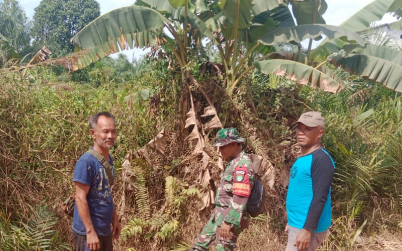 Babinsa Sungai Sembilan Intensifkan Patroli Cegah Karhutla