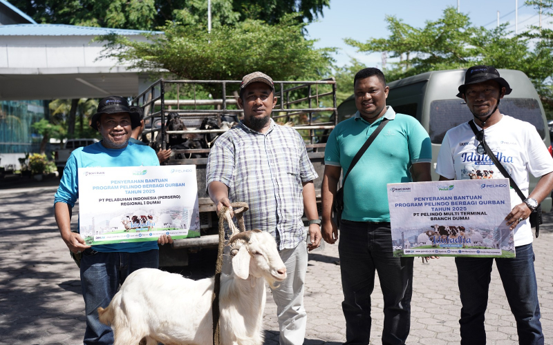 Idul Adha 1446 H, Pelindo Group Dumai Salurkan 8 Ekor Sapi dan 29 Ekor Kambing