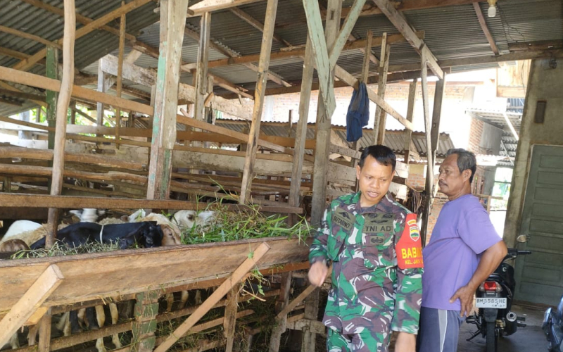 Babinsa Jaya Mukti Jelaskan Cara Pencegahan Penyakit di Peternakan