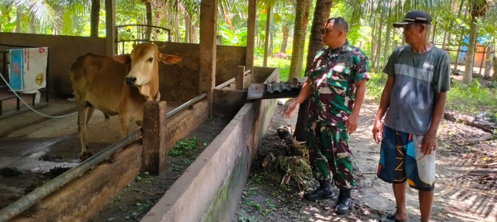 Pelda Ramli Nasution Laksanakan Surveilans PMK di Maredan Perawang