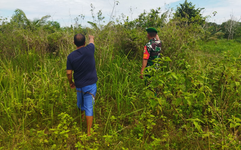 Wujud Nyata Peran TNI Ditengah Masyarakat, Babinsa Patroli Karhutla