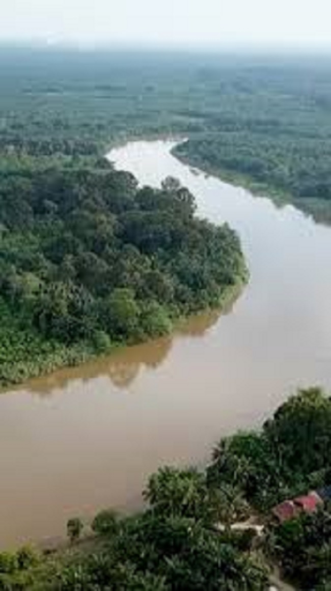 Kondisi Terkini Sungai Besar di Riau: Kampar Kiri Level Awas, Waspada Luapan di Gunung Sahilan