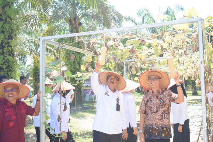 Staf Khusus Menko Hukum dan HAM Panen Raya di Lapas Terbuka Rumbai: Wujud Nyata Ketahanan Pangan dan Pemberdayaan Warga Binaan