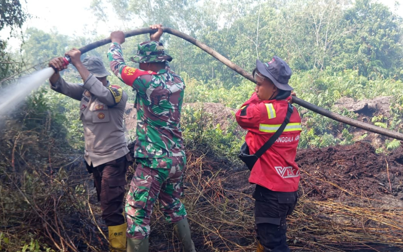 Sinergi TNI, Polri, dan BPBD, Karhutla di Bagan Keladi Berhasil Dikendalikan