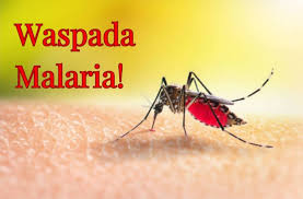 Gawat! Rohil 9 Kali Perpanjangan KLB Malaria, Kadiskes Riau: Perlu Edukasi Masyarakat
