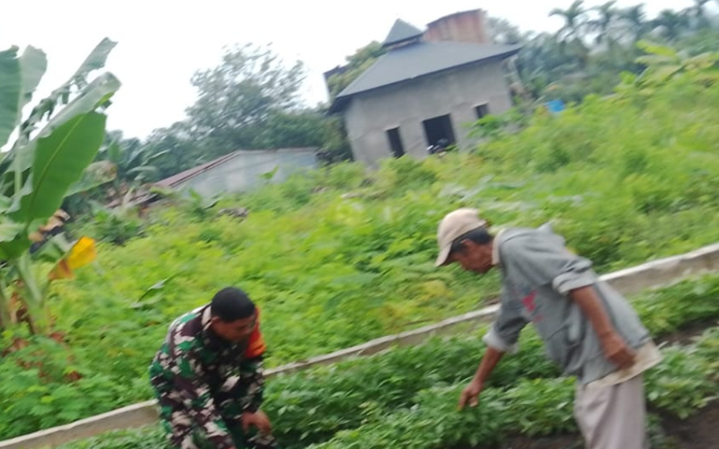 Babinsa Serda Marwis Intensifkan Patroli Karhutla, Ajak Warga Jaga Lingkungan dan Ketahanan Pangan