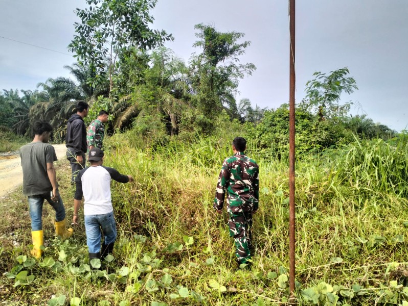 Koptu Salomo Sembiring Laksanakan Patroli Karhutla, Pastikan Wilayah Minas Jaya Aman dari Titik Api