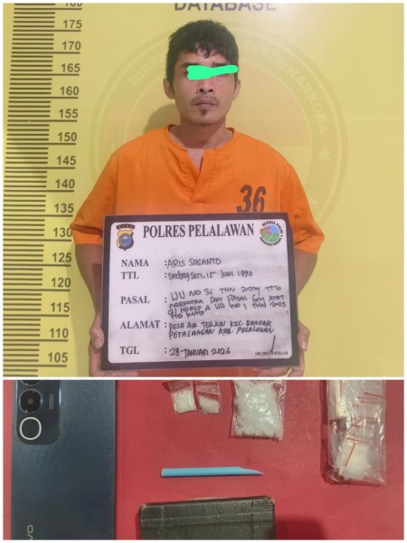 Transaksi Sabu di Pos Sekuriti PT Serikat Putra Digagalkan, Polres Pelalawan Amankan Tersangka