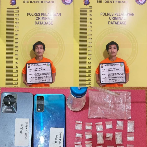 Tim Satresnarkoba Polres Pelalawan Gulung Dua Pengedar Sabu di Perkebunan Sawit