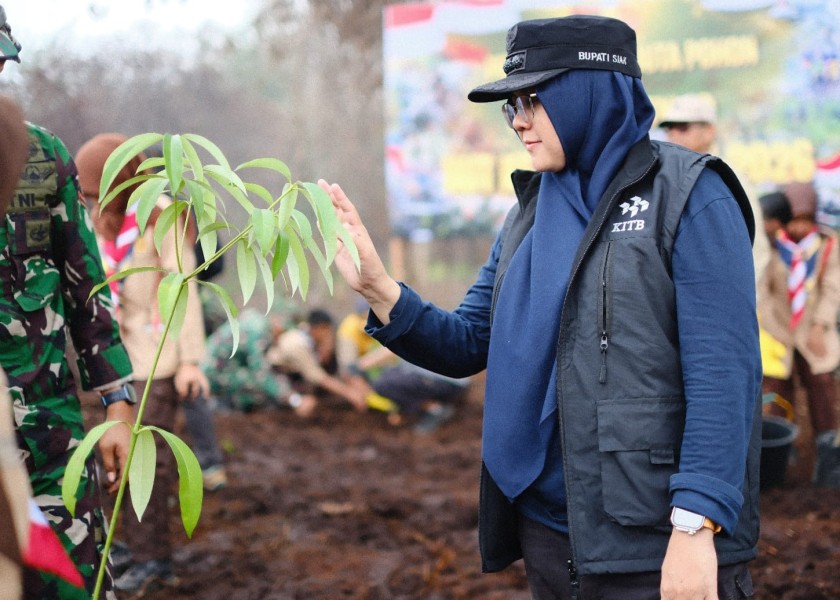 Bupati Afni Tanam Pohon di Lahan Bekas Karhutla upaya Penghijauan dan Menghindari Alih Fungsi Hutan