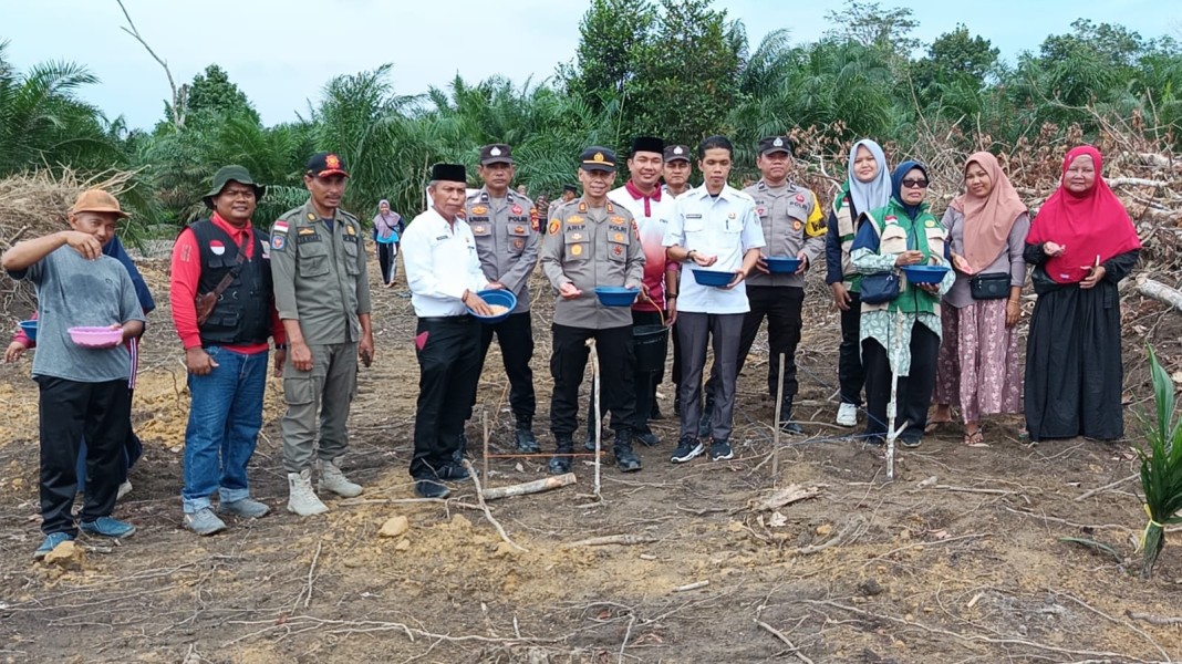 Polsek Bunut Tanam Jagung Hibrida NK 7328 di Merbau, Kawal Tumpang Sari 2 Hektare Dukung Ketahanan Pangan Presiden RI