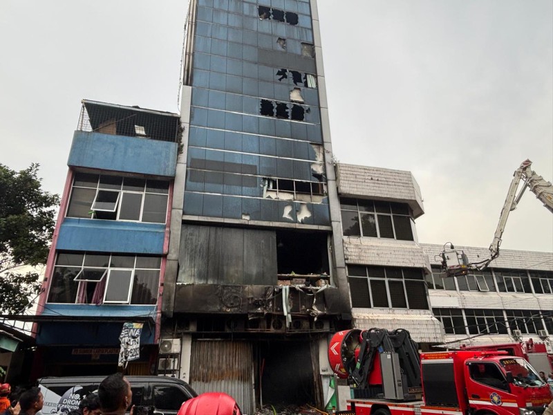 Terra Drone Kebakaran, Pernah Lakukan Studi Pemantauan Petani Sawit di Riau