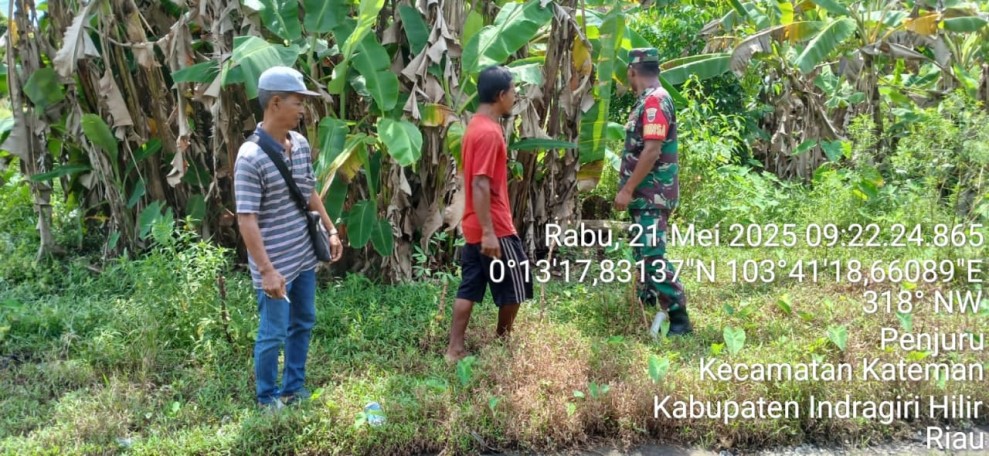 Antisipasi Kebakaran Lahan, Babinsa Koramil 06/Kateman Laksanakan Patroli Karhutla di Desa Penjuru
