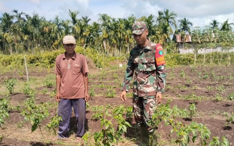 Kodim 0320 Dumai Perkuat Ketahanan Pangan Lewat Pendampingan Pertanian