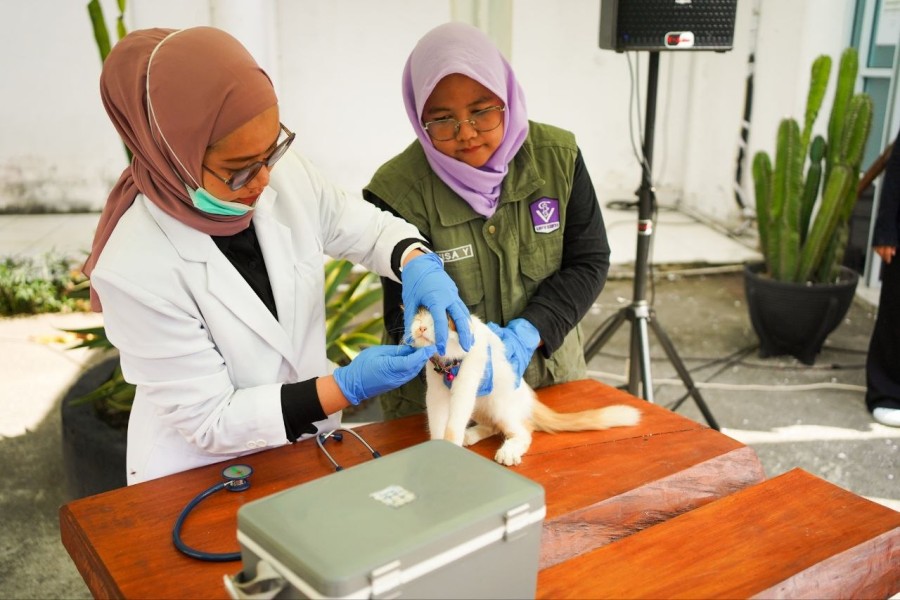 11 Daerah di Riau Masih Tertular Rabies, Tujuh Warga Meninggal dalam Lima Tahun Terakhir