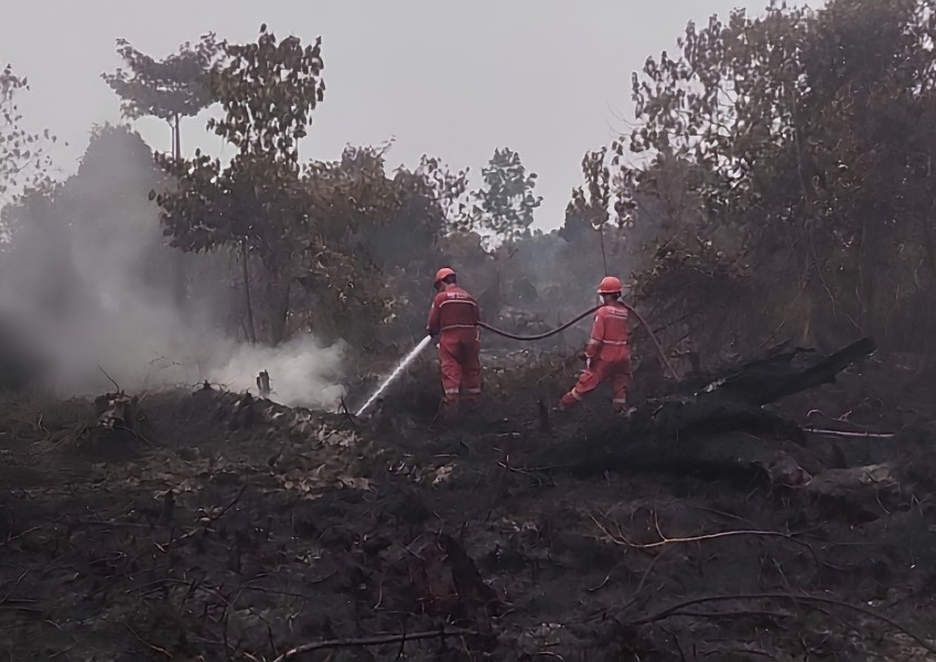 Response Cepat PHR Tangani Karhutla di Sekitar Wilayah Operasi