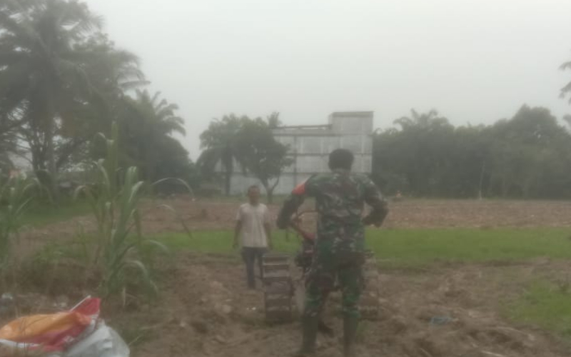 Babinsa Koramil 03 Sungai Sembilan Lakukan Pengawasan dan Pencegahan Karhutla