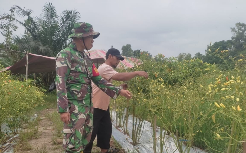 Patroli Karhutla dan Pendampingan Warga, Babinsa STDI Dorong Pertanian Ramah Lingkungan
