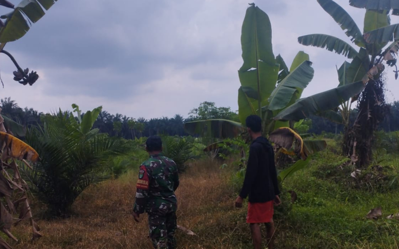 Cegah Karhutla, Babinsa Lubuk Gaung Ajak Warga Tidak Membuka Lahan dengan Cara Membakar