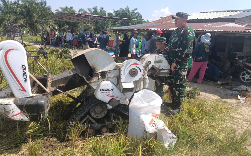 Dukung Swasembada Pangan, Kodim Dumai Hadiri Panen Padi Bersama di Tanjung Penyembal